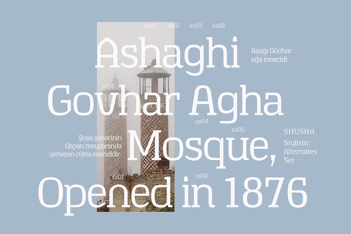 TA Shusha, a Slab Serif Font by TAFT Foundry (Photo 4 of 13)