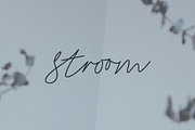 Stroom - Signature Script Font, a Script Font by Colt Type Co (Thumbnail 10 of 10)