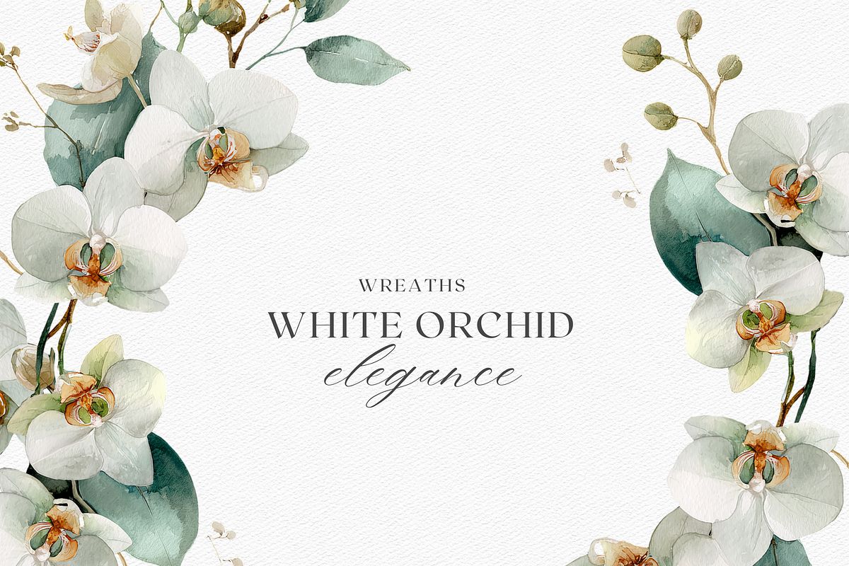 White Orchid Watercolor Clipart, a Decorative Illustration by ThaismotaCreativeCo (Photo 6 of 12)