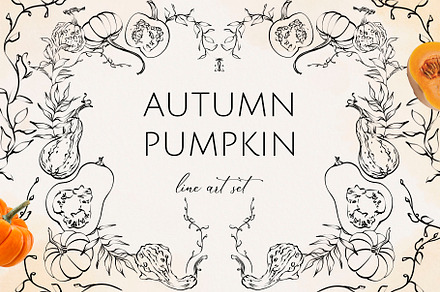 Line art AUTUMN PUMPKIN