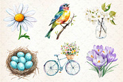 Spring Seasonal Elements Clipart, an Illustration by Dream Creation (Thumbnail 2 of 6)