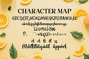 Flourissha Script LS, a Script Font by GranzCreative (Thumbnail 8 of 20)
