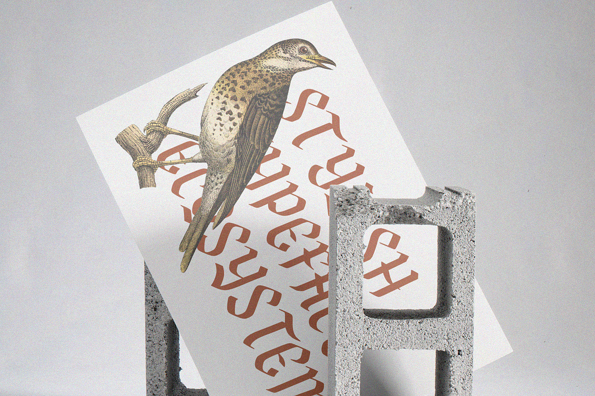 NCL Fegakines - Stylish Blackletter, a Blackletter Font by Enxyclo Studio (Photo 5 of 15)