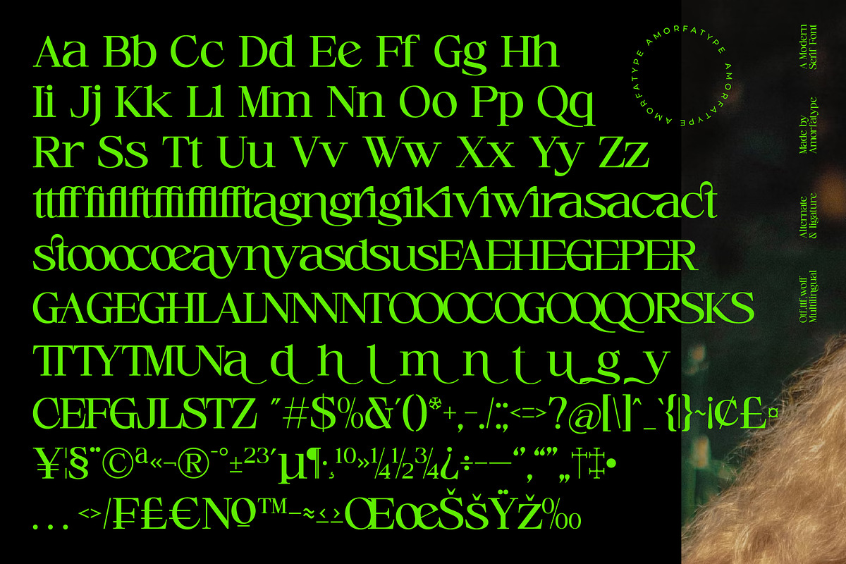 Cerlog  A Modern Serif Display Font, a Font by AmorfaType (Photo 10 of 10)