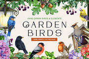Garden Birds Watercolor Painted Set, an Animal Illustration by AnitaPol (Thumbnail 1 of 21)