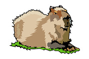 Capybara illustration, an Animal Illustration by Sumberpangan (Thumbnail 3 of 3)