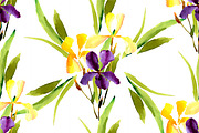 №3 Set watercolor irises vector, a Decorative Illustration by Rasveta (Thumbnail 2 of 5)