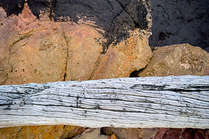 Driftwood And Rock Abstract Background, a Nature Photo by THP Creative