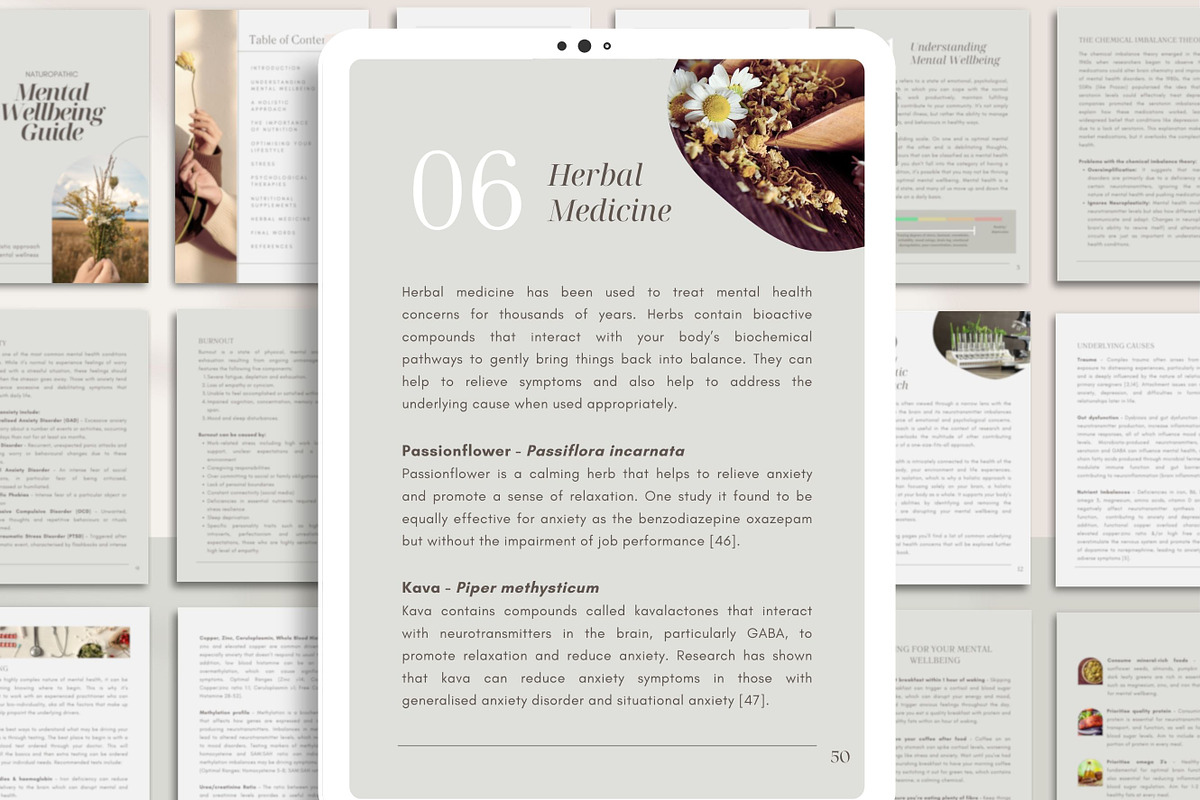 Mental Health Ebook Canva Template, a Presentation Template by Naturopath Hub (Photo 12 of 12)