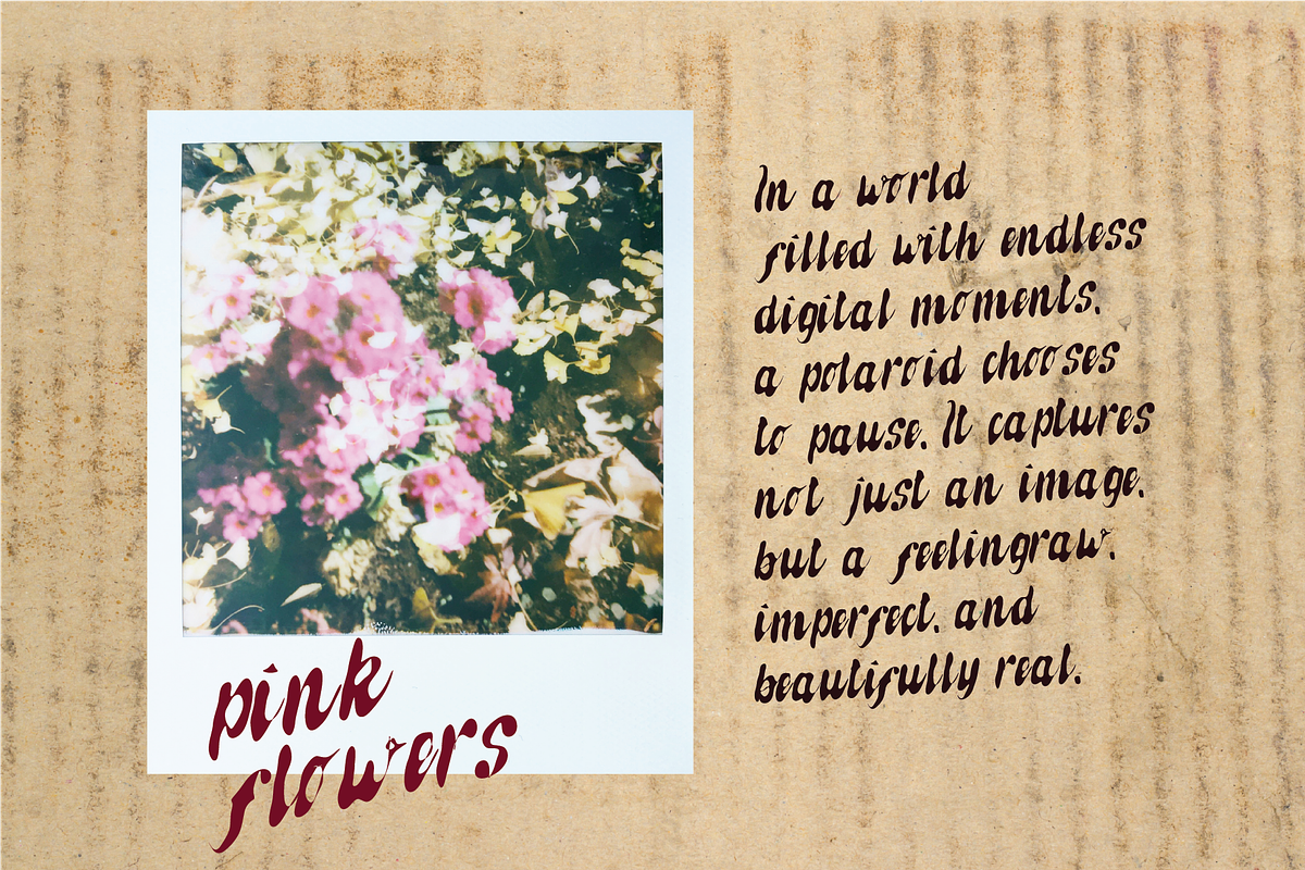 Mellowmei Ink Scipt Font, a Script Font by Berdansabersama (Photo 6 of 8)