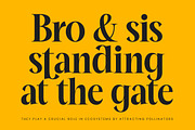 Mailyo Modern Serif Display Font, a Serif Font by timelesstype.co (Thumbnail 2 of 20)