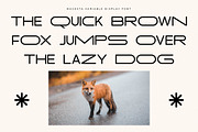 Mugesta Variable Display Font, a Serif Font by Storytype Studio (Thumbnail 7 of 15)