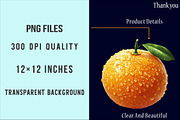 Lime Clipart, Watercolor Citrus PNG, an Illustration by SinaCreation (Thumbnail 4 of 5)