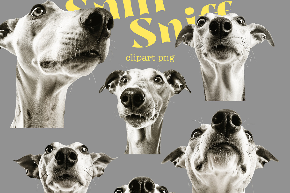 Sniff-Sniff, an Object Graphic by TheCuteShop (Photo 4 of 6)