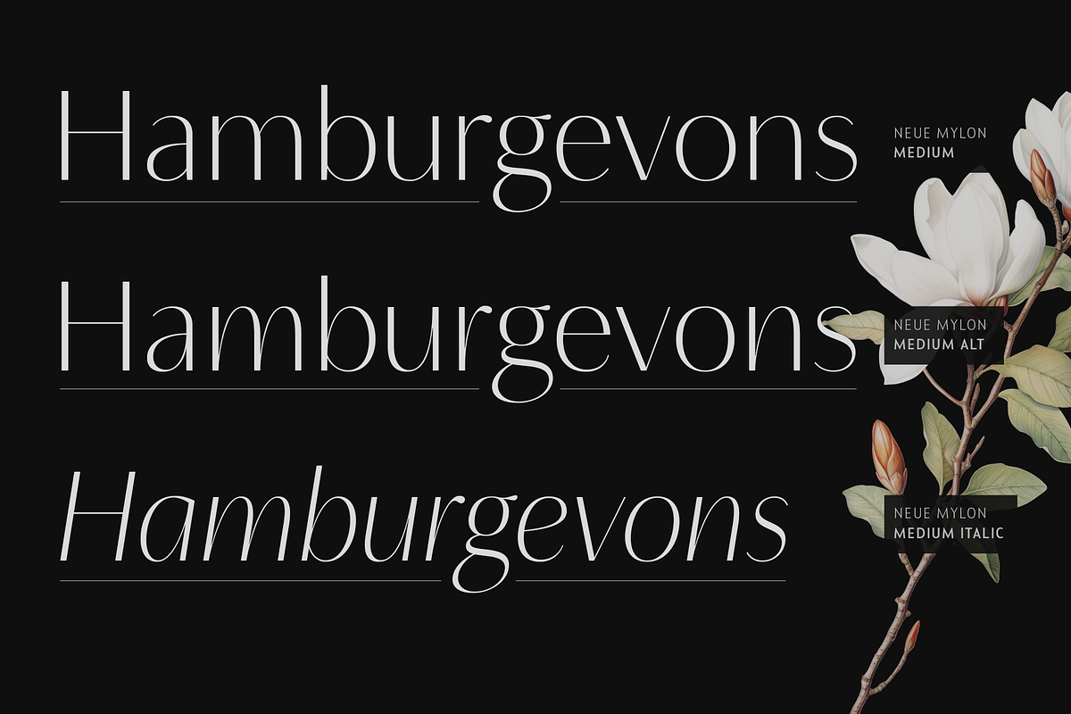 Neue Mylon - 21 Fonts, a Sans Serif Font by Nasir Udin (Photo 8 of 14)
