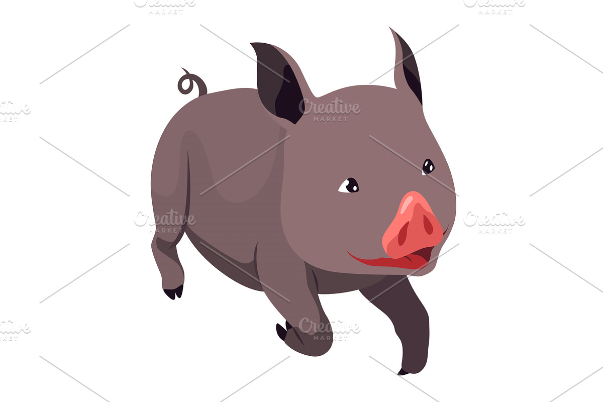 Pig set flat cartoon isolated on, an Animal Illustration by the8monkey