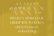 Balava | Modern Duo Font, a Serif Font by Pentagonistudio (Thumbnail 11 of 12)