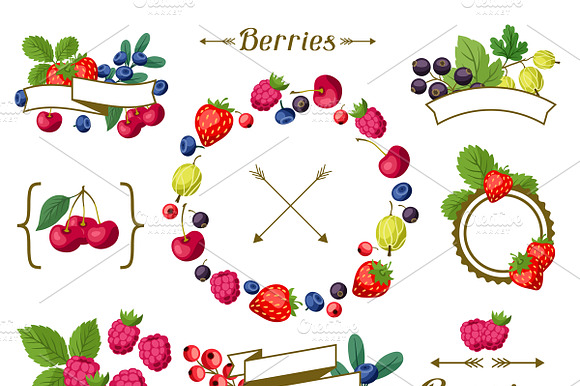 Set Of Labels With Berries.