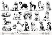 95 line art Dogs clip art, an Animal Illustration by Poppy Lane Studio (Thumbnail 7 of 11)