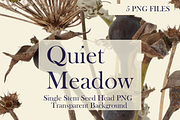Quiet Meadow — Single Stem Seed Head, an Object Graphic by Aga Silva (Thumbnail 4 of 4)