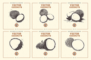 VECTOR COCONUTS HAND DRAWN BUNDLE, a Food Illustration by pawellpi (Thumbnail 4 of 6)
