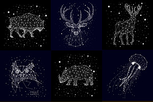 Constellation Of Animals