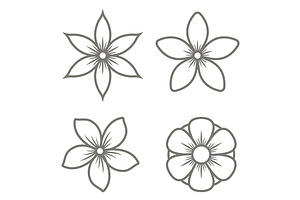 Jasmine Flower Icons Set