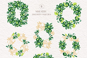 Lime Watercolor Collection, a Food Illustration by SashaKondr (Thumbnail 12 of 15)