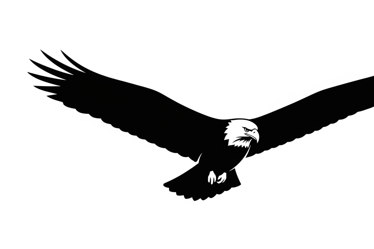 Powerful eagle flying wall art desig, an Illustration by Amazin_art (Photo 10 of 31)