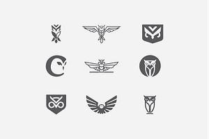 The Owl Collective