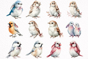Watercolor Spring Birds Clipart, an Illustration by DreamArtGraphic (Thumbnail 4 of 8)