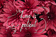 Peonyrose, a Script Font by Esui Studio (Thumbnail 2 of 4)