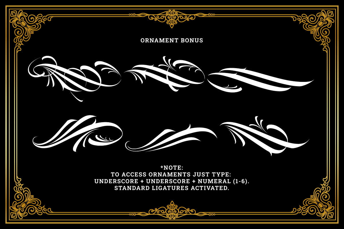Cansetras - Blackletter Fonts, a Blackletter Font by Prioritype Co (Photo 9 of 10)