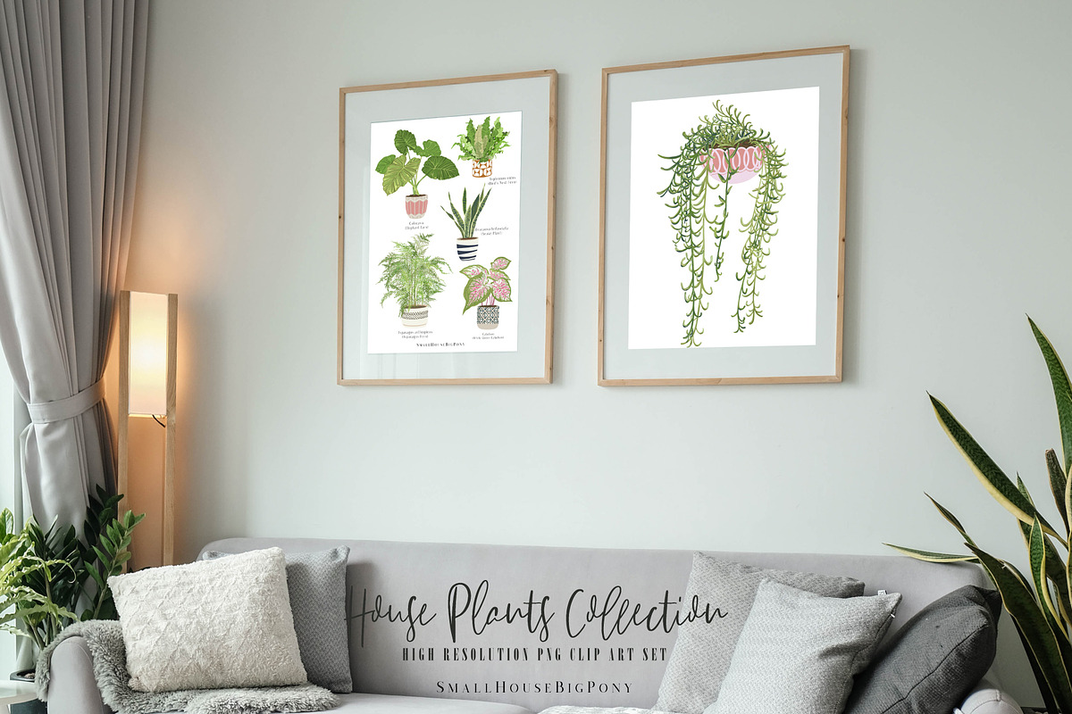 House Plants Collection Set II, a Graphic by SmallHouseBigPony (Photo 3 of 21)