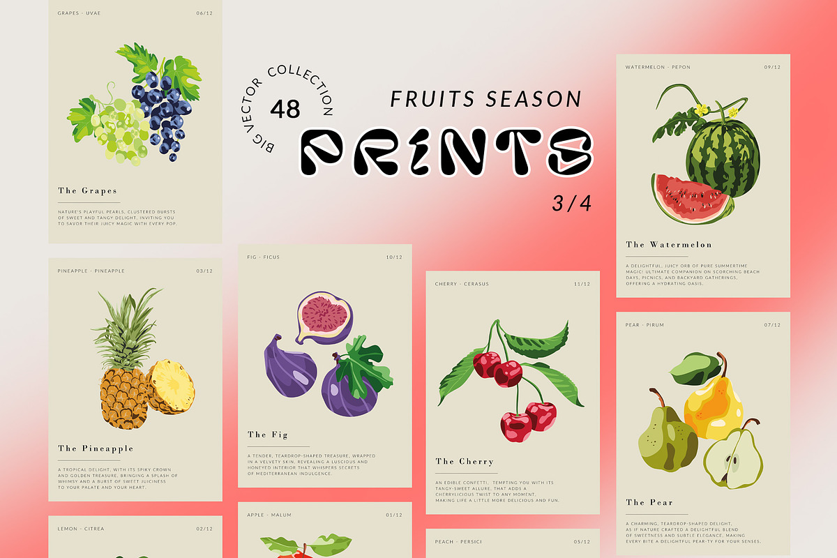 Fruits Season Posters & Patterns, an Illustration by SunnyAfternoons (Photo 7 of 13)