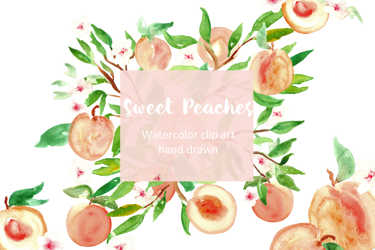 Peach. Watercolor clip art., a Graphic by LABFcreations (Photo 3 of 3)