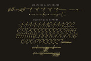 Tomithayen, a Script Font by Integritype Studio (Thumbnail 14 of 15)