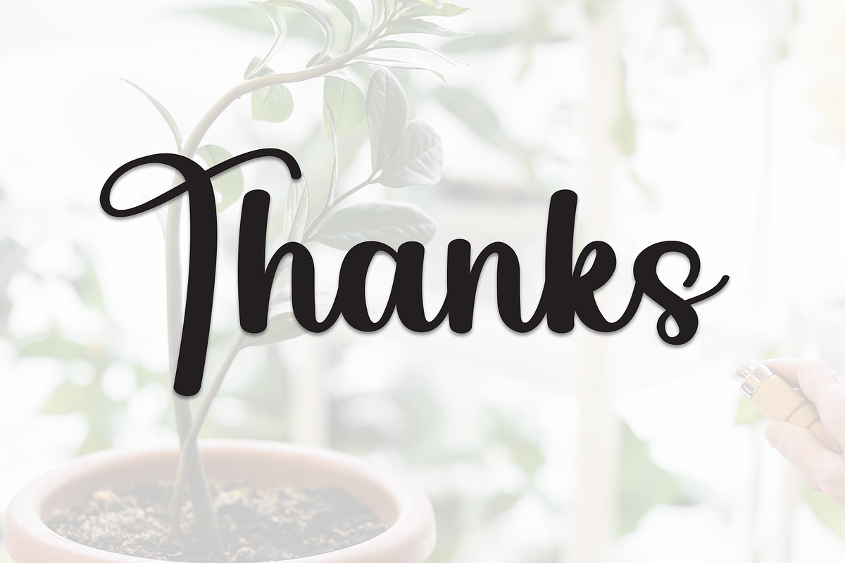 Staylive | Script Font, a Handwritten Font by Scratchones (Photo 9 of 9)