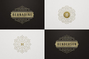 250 ornaments logos & monograms, a Branding & Logo Template by Vasya Kobelev (Thumbnail 10 of 23)