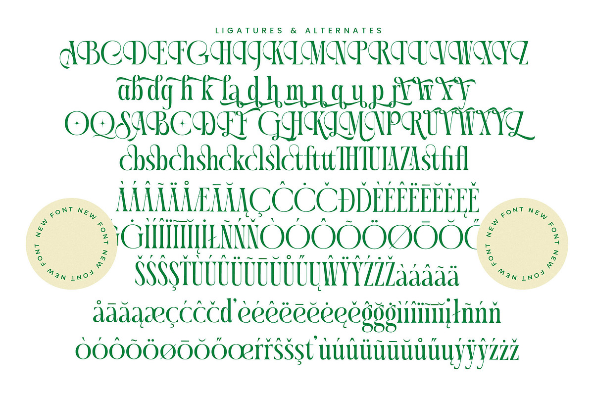 Questing Silver Modern Serif, a Serif Font by timelesstype.co (Photo 19 of 20)