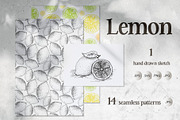 Lemon. Sketch and patterns, a Background Graphic by Canatic (Thumbnail 1 of 19)