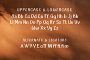 Kyren | Summer San Serif Display, a Sans Serif Font by twinstd (Thumbnail 8 of 10)