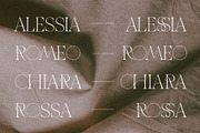 THE FRENCH KISS ROYAL TYPEFACE, a Serif Font by SilverStag Type Foundry (Thumbnail 15 of 23)