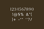 Mythology Luxury Serif Font, a Serif Font by UICreative (Thumbnail 9 of 11)