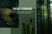 Cool nature | 325 stock photos, a Background Photo by Tale.Haus (Thumbnail 5 of 19)