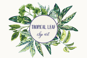 Tropical Leaf Clip Art