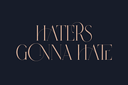 SALE! Type Master - serif font, a Serif Font by VP Fonts (Thumbnail 11 of 24)