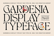 TAN - GARDENIA, a Font by TanType (Thumbnail 1 of 21)