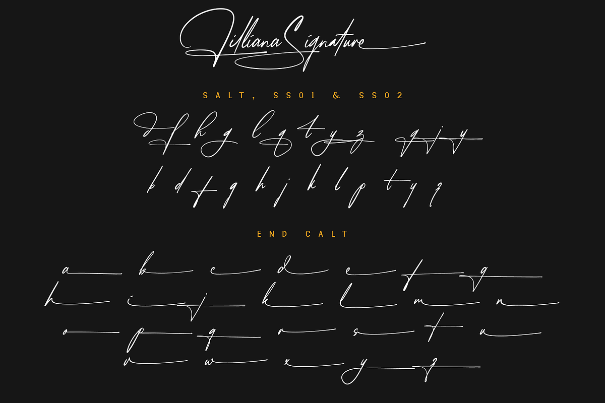 Lilliana Signature - A Display Font, a Script Font by overlaytemplates (Photo 5 of 5)