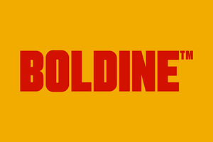 Boldine: Urban & Bold Sans